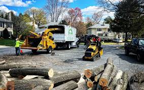 Best Emergency Tree Removal  in Marble Falls, TX